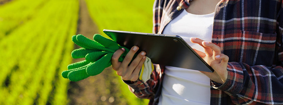 Gestão lean e o agro tech