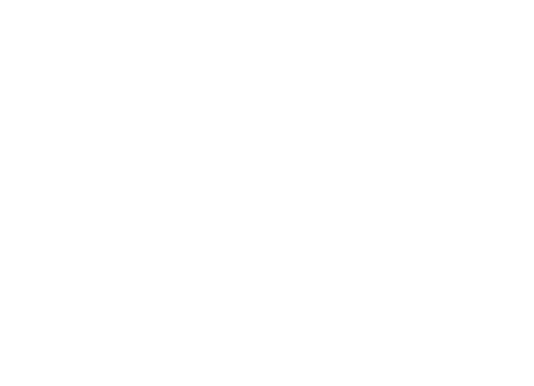 Lean Institute Brasil